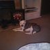 Fred Kunz - Facebook