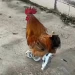 @fred_kurz5656 - Instagram