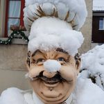 Alfred Kuster - @fredikuster - Instagram