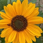 @fredkyle138 - Instagram