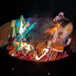 Fred Lacasse - @fred.lacasse.313 - Instagram