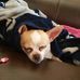 Fred Lackey - Facebook