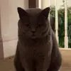 Fred - @lacy_fred - TikTok