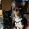 fredlacy14 - @fredlacy14 - TikTok
