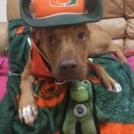 Fred Ladwig - @canesfamily561 - Instagram