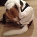 Fred Laing - Facebook