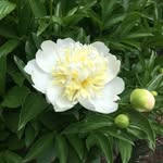 @fredlaire53 - Instagram