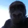 Fred Lamar - @fred.lamar8 - TikTok