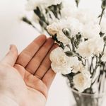 Fred Lamm - @fredlamm956 - Instagram