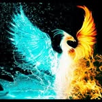 frediscold - @fredlamont4 - Instagram