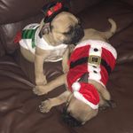 Fred and Lamont - @the_frug_brothers - Instagram