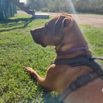 Fred Lamont - Facebook