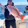 Fred McLaughlin - @fred.mclaughlin3 - TikTok