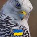 Fred Laurens - Facebook