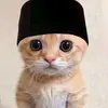 fredylavender - @fredylavender - TikTok