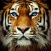 Fred Law - Facebook