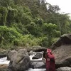 Fred Lawrence - @fred.lawrence5 - TikTok