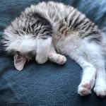 Fred - @fred_lawley - Instagram