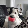 Fred Laws - @fredlaws0 - TikTok