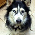 Fred Leachman - @fredleachman - Instagram