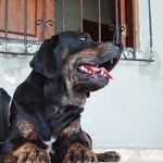 Fred Leal - @frederico.leal.ruis - Instagram