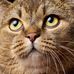 Fred Ledner - Facebook