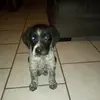 fredericledoux4 - @fredericledoux4 - TikTok