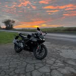 Fred - @fred_lees08 - Instagram