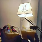 Fred et Heline Lefranc - @maison_f_fheline - Instagram