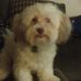 Fred Liebowitz - Facebook