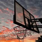 Fred leung - @fred_201356 - Instagram
