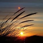 Manfred Liedtke - @manfred.liedtke.54 - Instagram