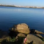 fredliner (columbia) - @fredliner_ - Instagram