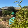 Fredlin - @fredlin00 - TikTok