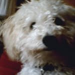 Fred William John Lockwood - @fred56th - Instagram