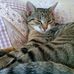 Freda Lockwood - Facebook