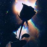 Frederick Looney - @frederick.looney.50 - Instagram