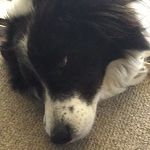 Fred Lowe - @fredlowee - Instagram