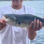 Fred_Lowe - @fred_lowe3 - Instagram