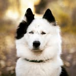 @fred_i_lucek - Instagram