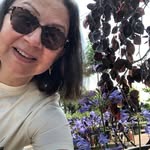 Frederique simonetti - @fredluce57 - Instagram