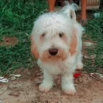 Fred - @fred_lucky__ - Instagram