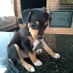 @fred_luck6 - Instagram