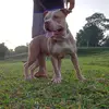 Fred_Luck78 - @fred_luck78 - TikTok