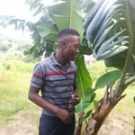 Fred Lukas - @fredlukas3 - Instagram