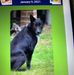 Fred Lynn - Facebook