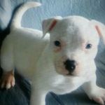 fred lyons - @lyons.fred - Instagram