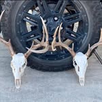 Fred Lyons - @lhslandscaping - Instagram