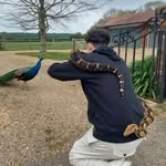 Freddie Lyons 🦂 - @freddie.lyons_ - Instagram