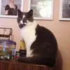 fredlytle786 - @fredlytle786 - TikTok